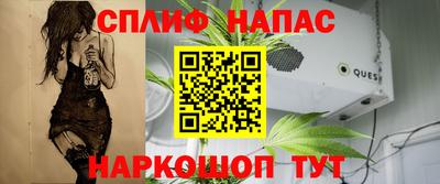 дмт Пенза
